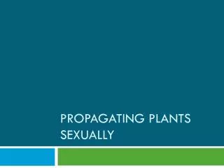 Propagating Plants Sexually