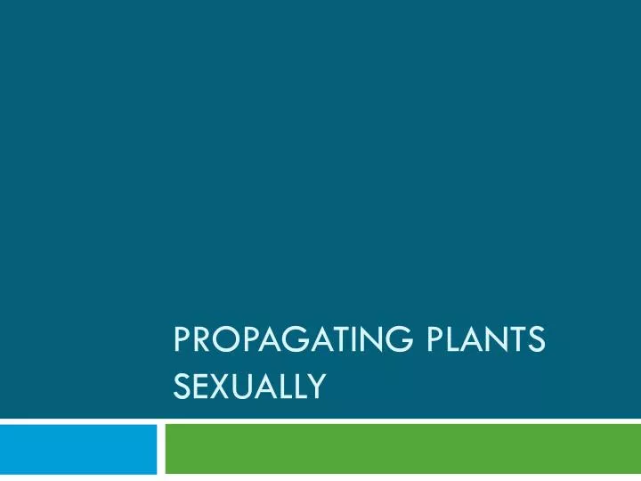 propagating plants sexually