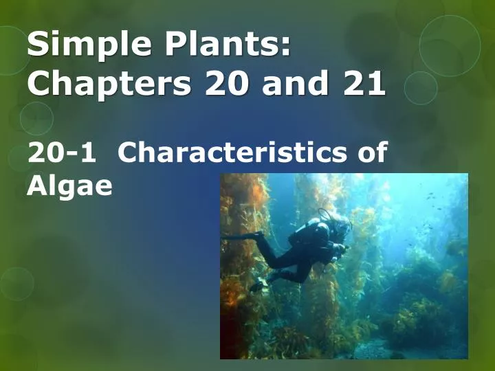 simple plants chapters 20 and 21 20 1 characteristics of algae