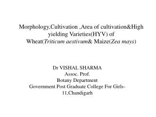 Morphology,Cultivation ,Area of cultivation&amp;High yielding Varieties(HYV) of Wheat( Triticum aestivum &amp; Maiz
