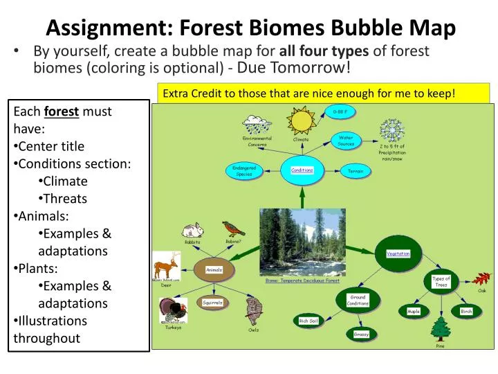 assignment forest biomes bubble map