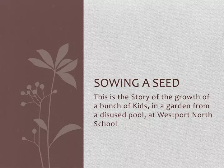 sowing a seed