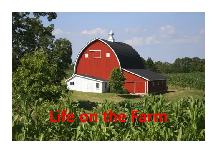 life on the farm