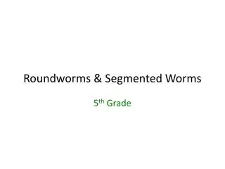 Roundworms &amp; Segmented Worms