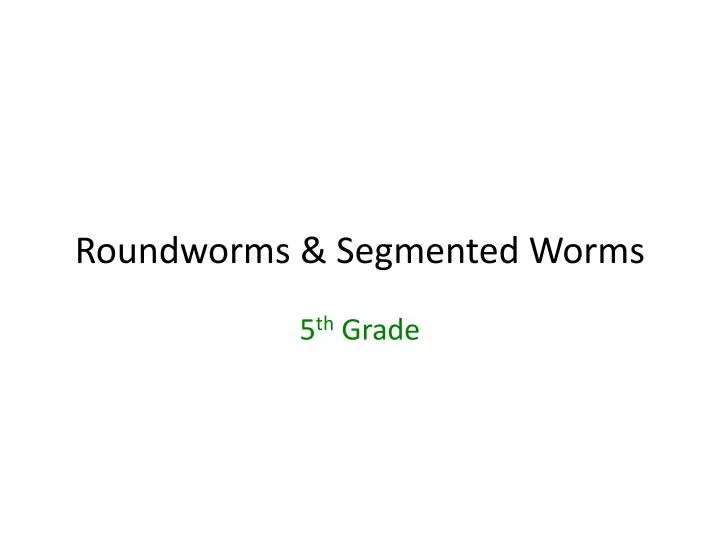 roundworms segmented worms