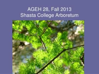 AGEH 28, Fall 2013 Shasta College Arboretum