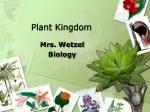 Plant Kingdom - slide 1