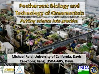 Postharvest Biology and Technology of Ornamentals