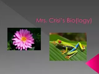 Mrs. Crisi’s Bio(logy)