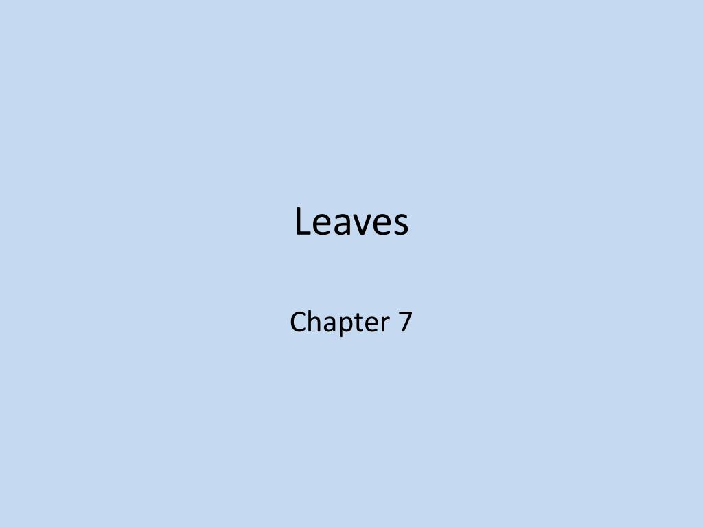 PPT - Leaves PowerPoint Presentation, free download - ID:1560859
