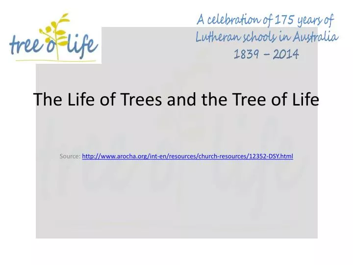 the life of trees and the tree of life