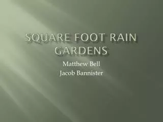 Square Foot Rain Gardens