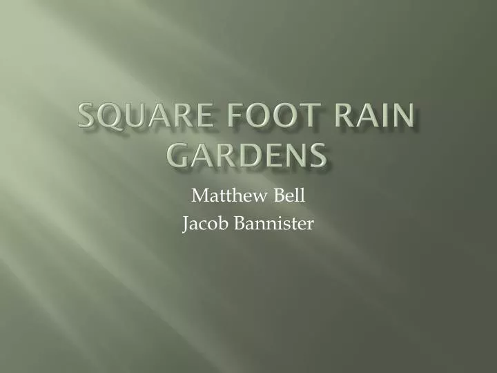 square foot rain gardens