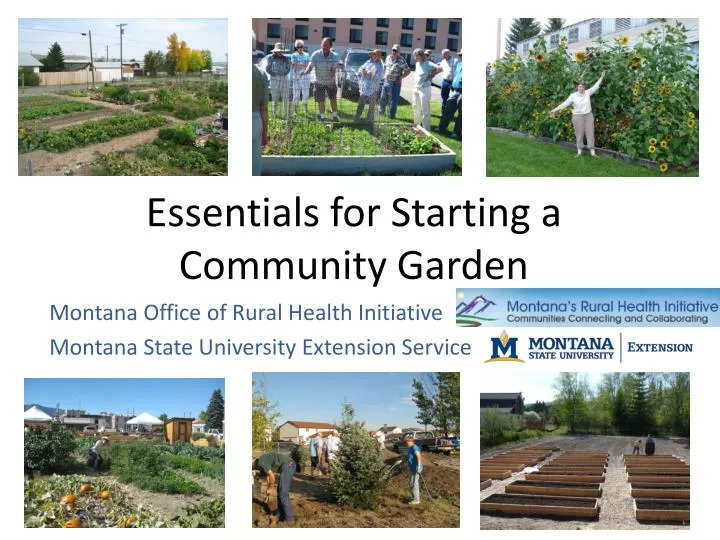 essentials for starting a community garden
