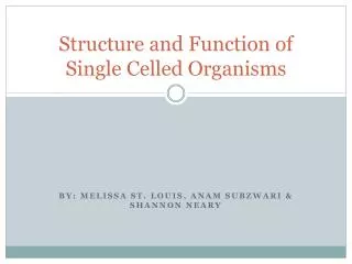 Structure and Function of Single Celled Organisms