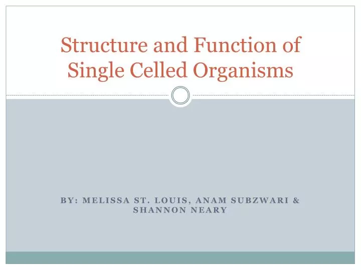 structure and function of single celled organisms