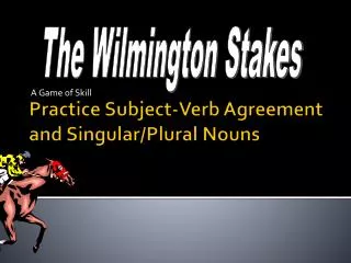 Practice Subject-Verb Agreement and Singular/Plural Nouns