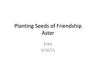 Planting Seeds of Friendship Aster