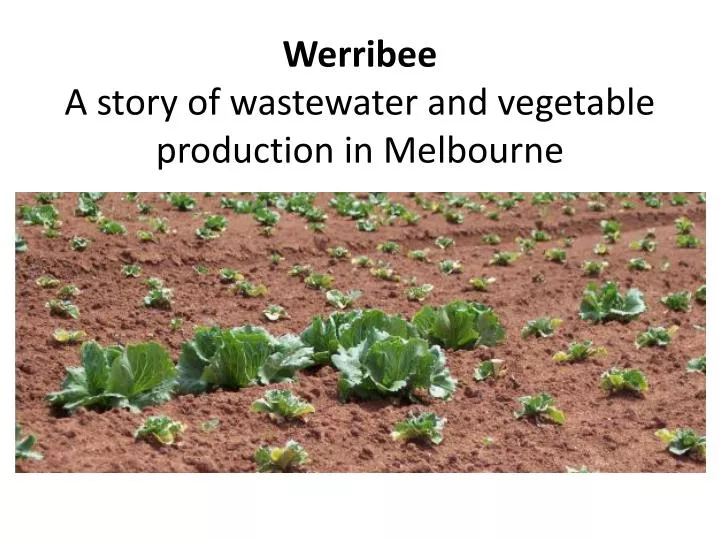 werribee a story of wastewater and vegetable production in melbourne