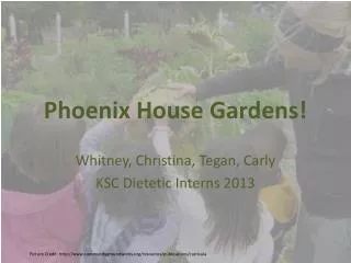 Phoenix House Gardens!