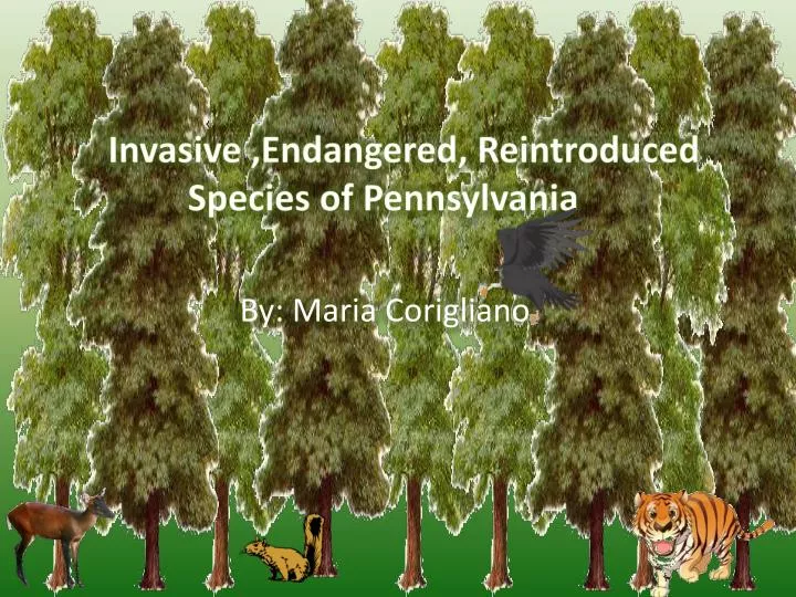 invasive endangered reintroduced species of pennsylvania