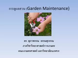 การดูแลสวน ( Garden Maintenance)