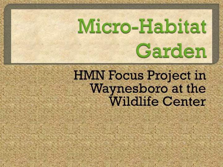 micro habitat garden