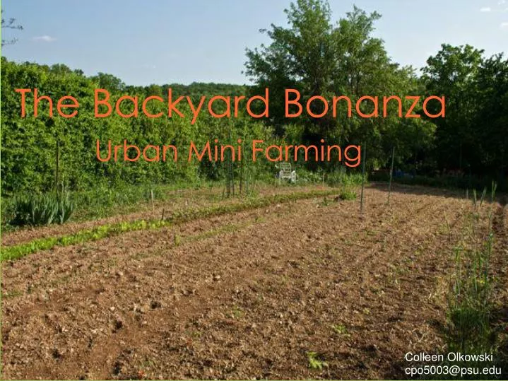the backyard bonanza urban mini farming