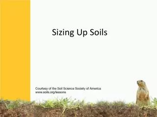 Sizing Up Soils