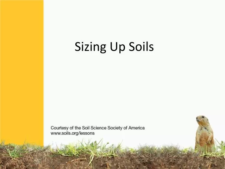 sizing up soils