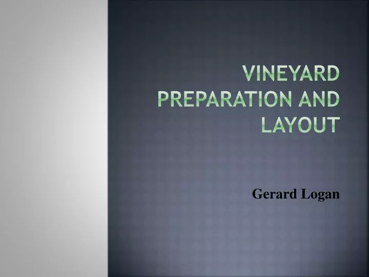 vineyard preparation and layout