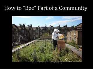 How to “Bee” Part of a Community