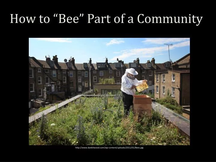 how to bee part of a community