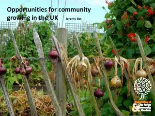 Opportunities for community growing in the UK Jeremy Iles