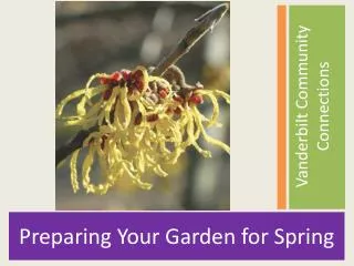 Preparing Your Garden for Spring