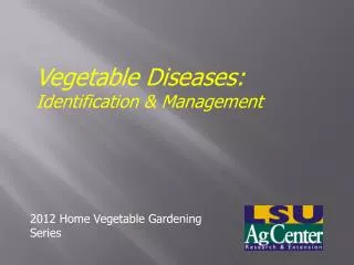 Vegetable Diseases: Identification &amp; Management