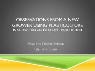 Observations from a New Grower Using Plasticulture in Strawberry and Vegetable Production