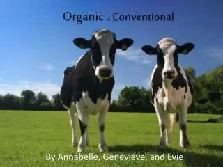 Organic vs. Conventional