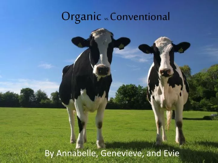 organic vs conventional