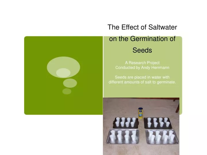 the effect of saltwater on the germination of seeds