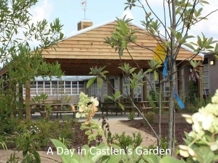 a day in castlen s garden