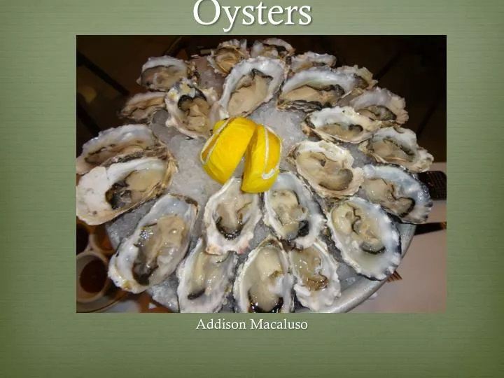 oysters