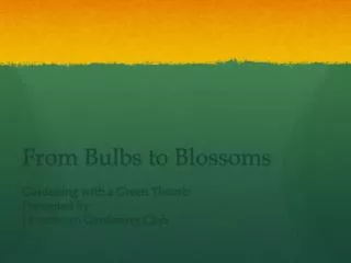 From Bulbs to Blossoms
