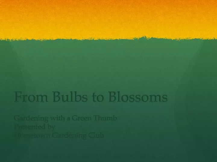 from bulbs to blossoms