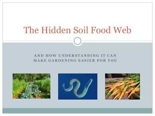The Hidden Soil Food Web