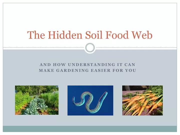 the hidden soil food web