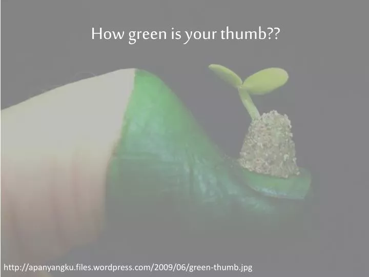 how green is your thumb