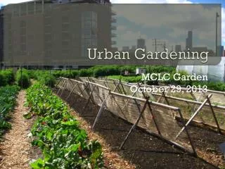 Urban Gardening