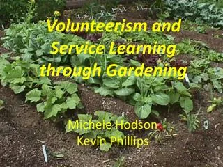 Volunteerism and Service Learning through Gardening