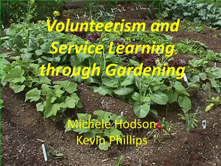 volunteerism and service learning through gardening